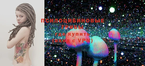 гидра Арсеньев