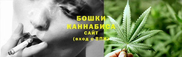 гидра Арсеньев