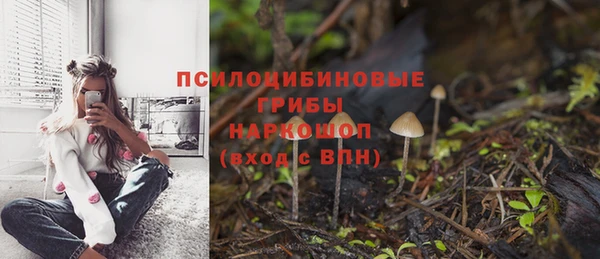 гидра Арсеньев