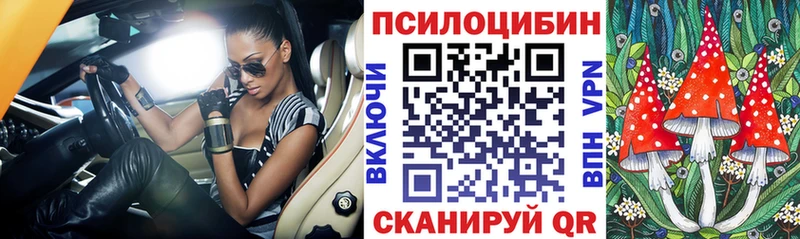 Псилоцибиновые грибы мухоморы  Купить закладки  Лесозаводск 